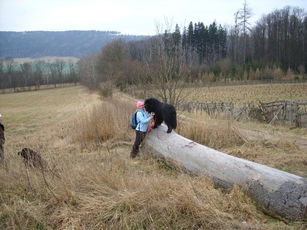 SS853632.jpg